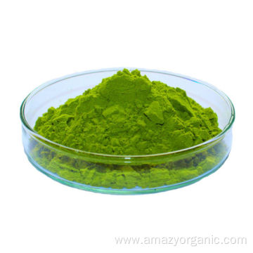 Natural Organic Spinach Juice Powder